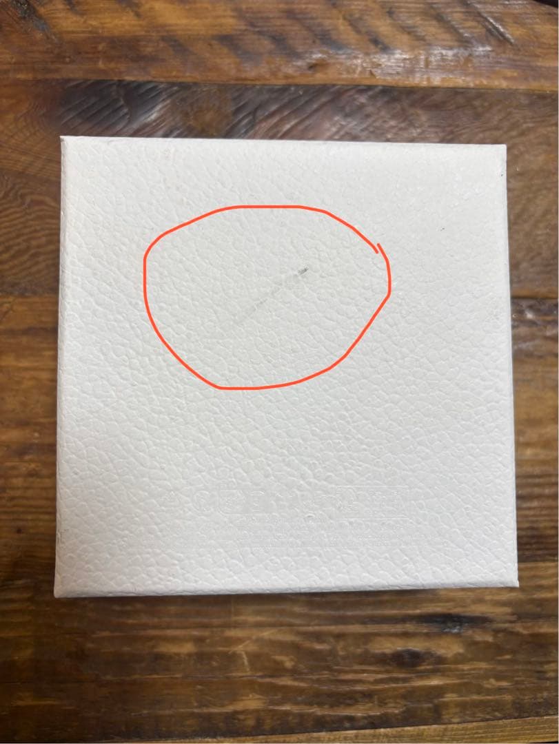 【初心者 】CHRISTIAN DIOR CDロゴネックレス シルバー