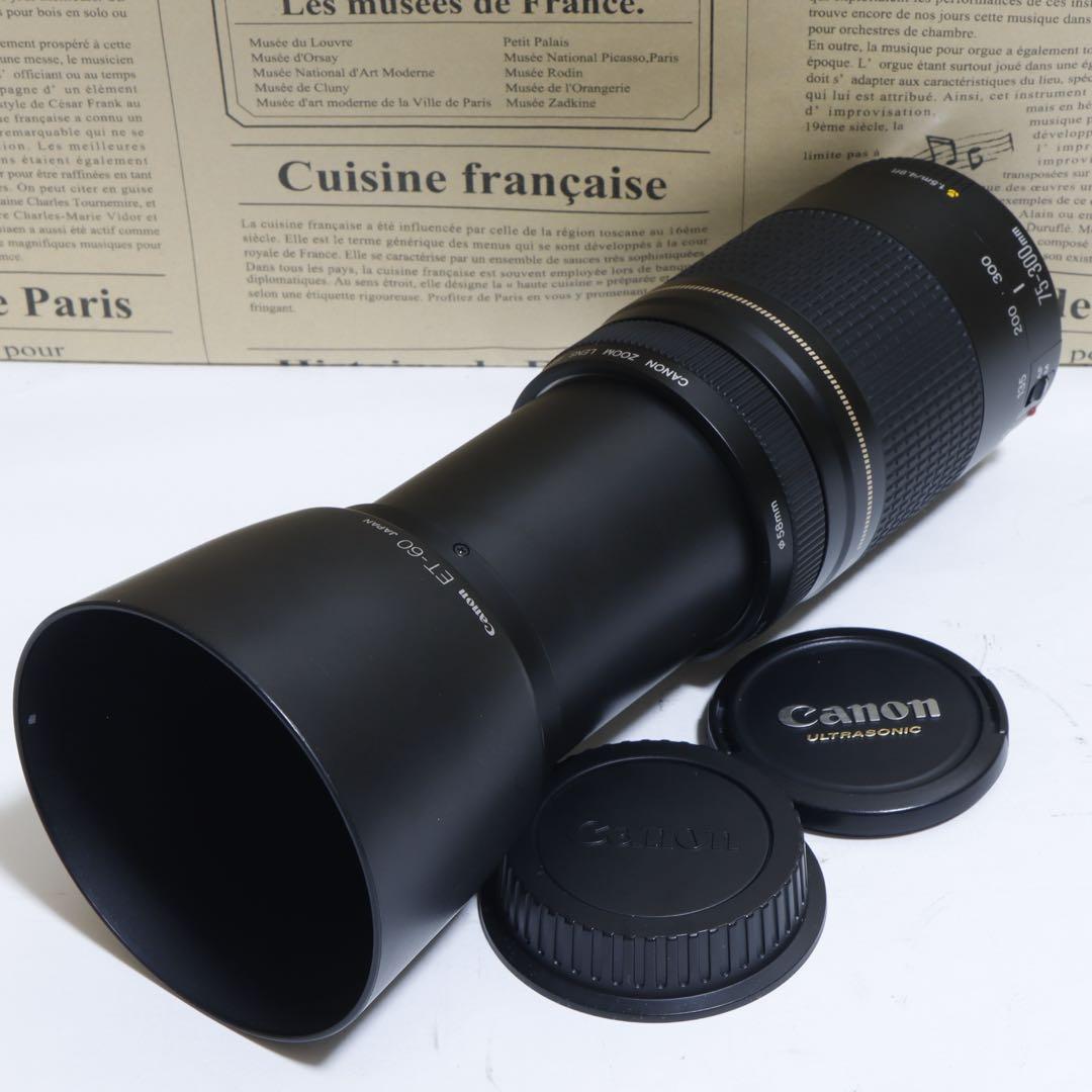 ◇超望遠&高速AF◇Canon純正 75-300mm II型 超望遠レンズ!!◇