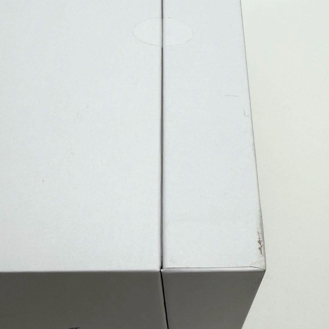 サロニア　ピュアブライトスチーマー　SALONIA STEAMER