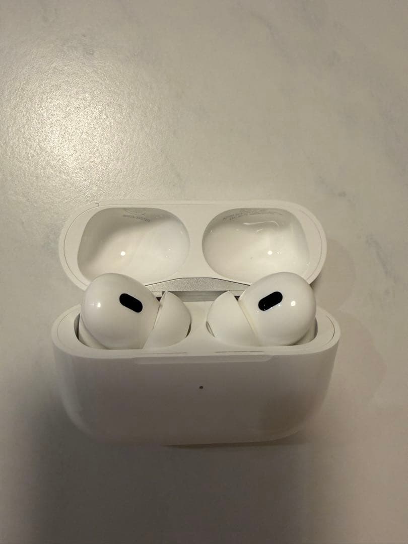 AirPods Pro（第2世代）本体＋Lightning充電ケース
