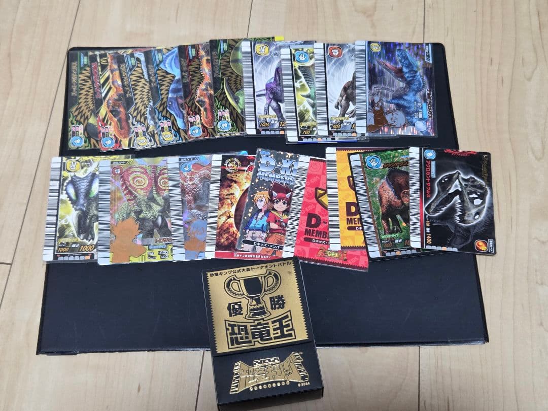 瑠衣@緊急のメッセージ以外は不要です リクエスト 恐竜キング