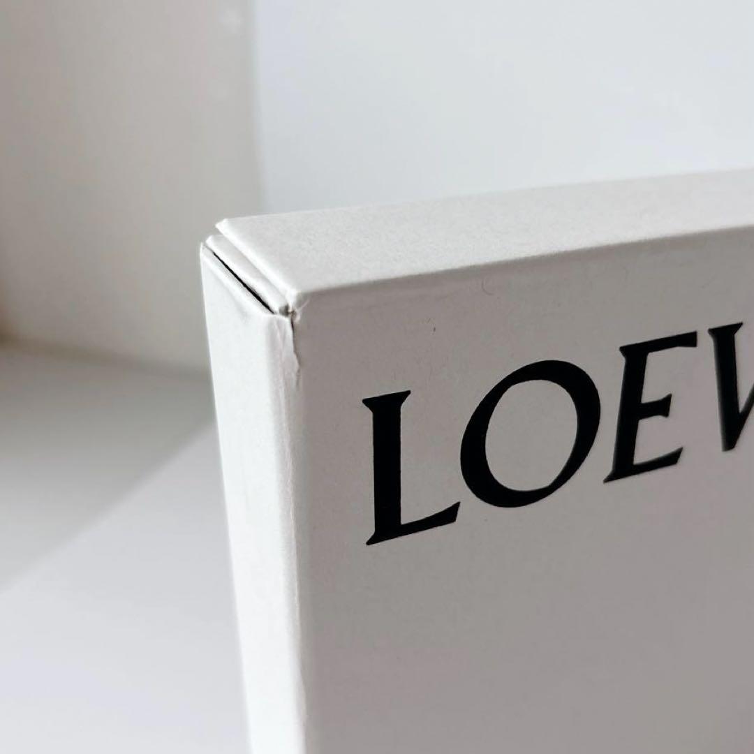 ★ ユリイーム ★【極美品】LOEWE ケース　小物入れ　スクエア