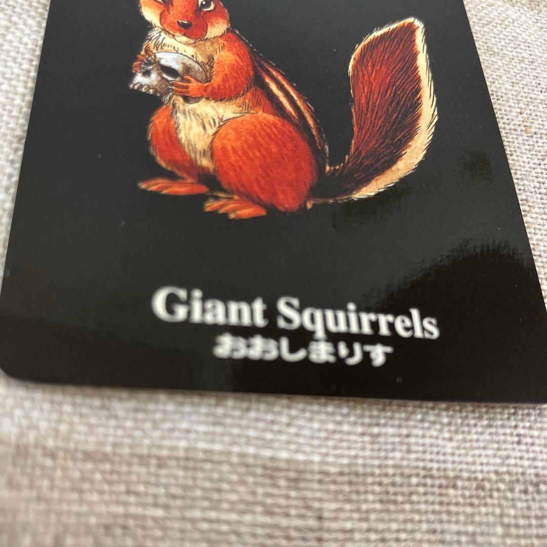 ウィザードリィ外伝4～胎魔の鼓動～　カード　おおしまりす