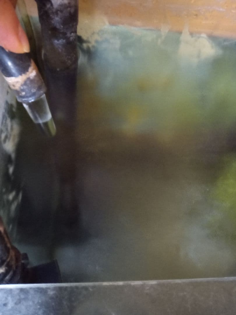 ロ*ト様 エーハイム　プロフェッショナル4　2273