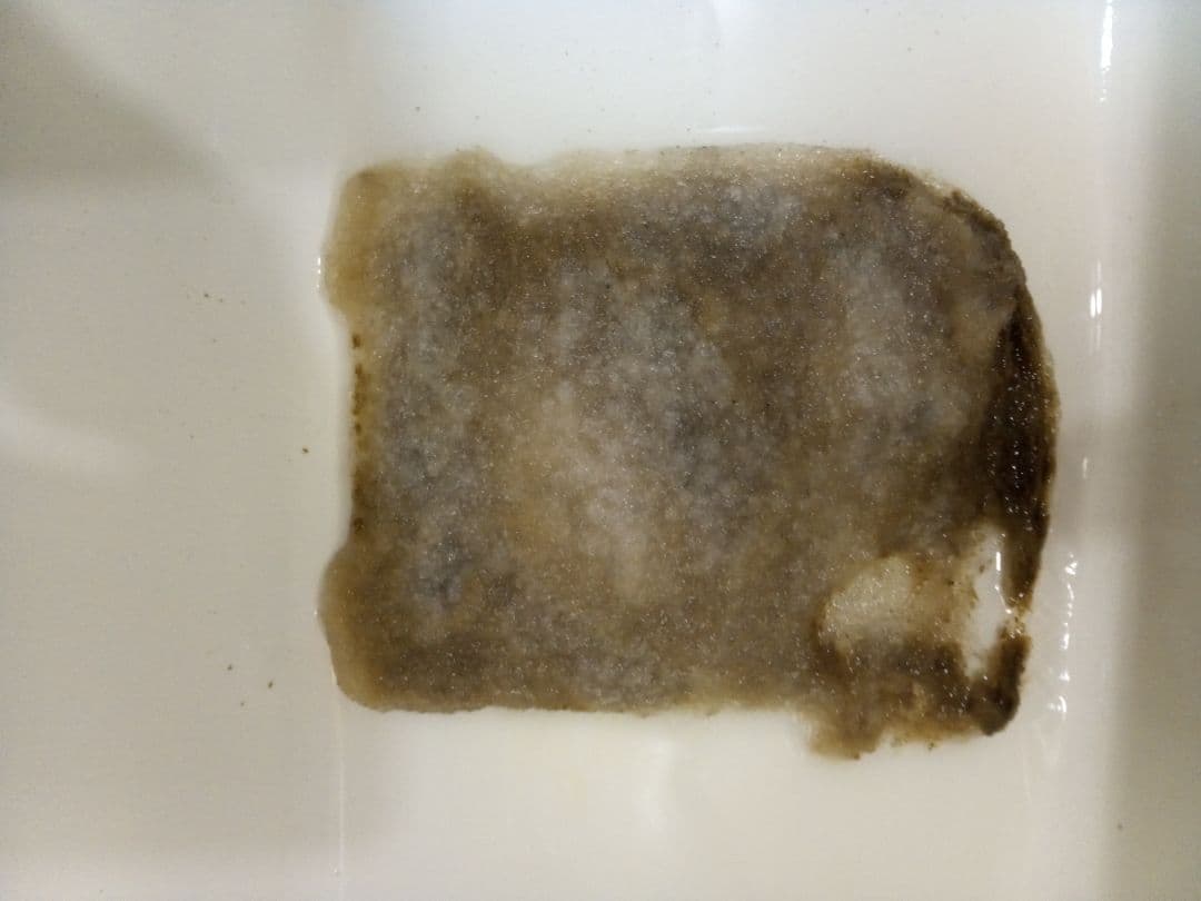 ロ*ト様 エーハイム　プロフェッショナル4　2273