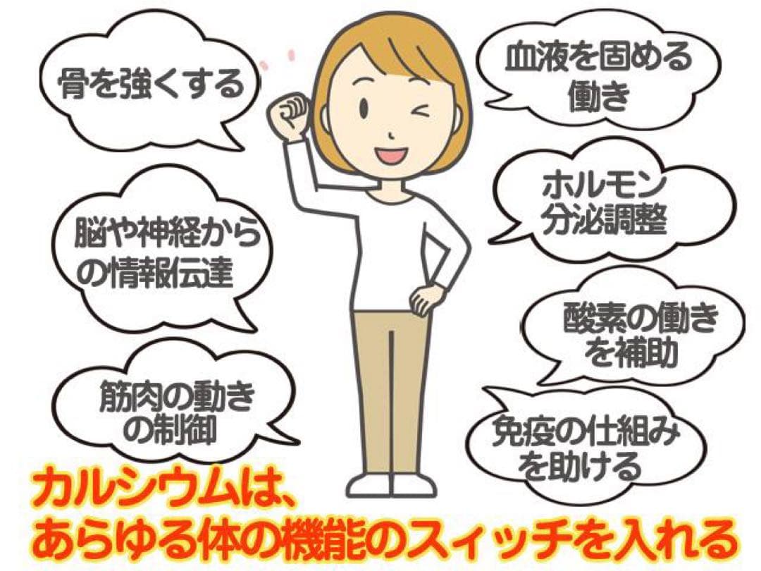 【天然八雲風化貝化石カルシウム950g】北海道八雲町産　粉末