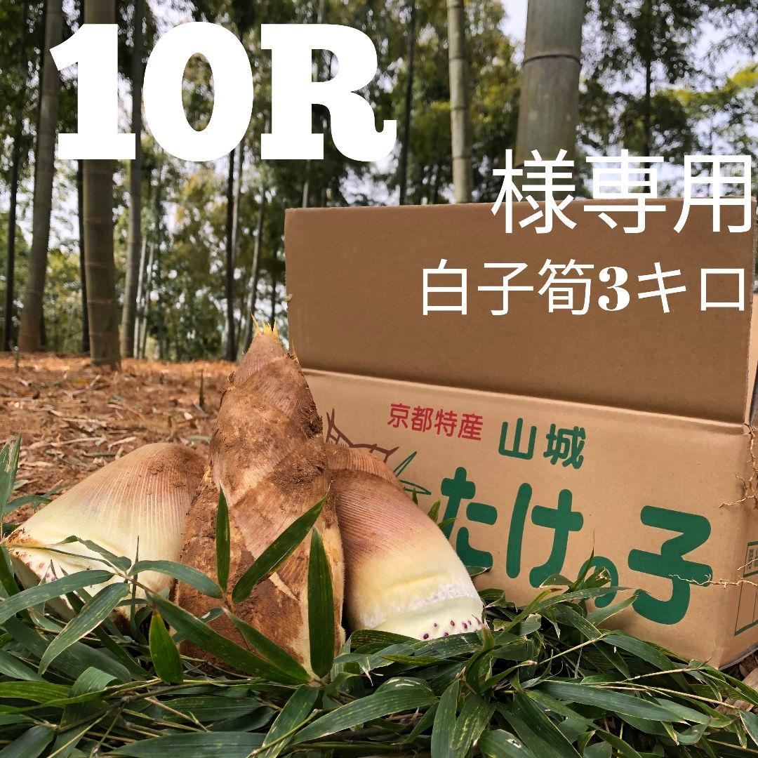10R 白子筍3キロ