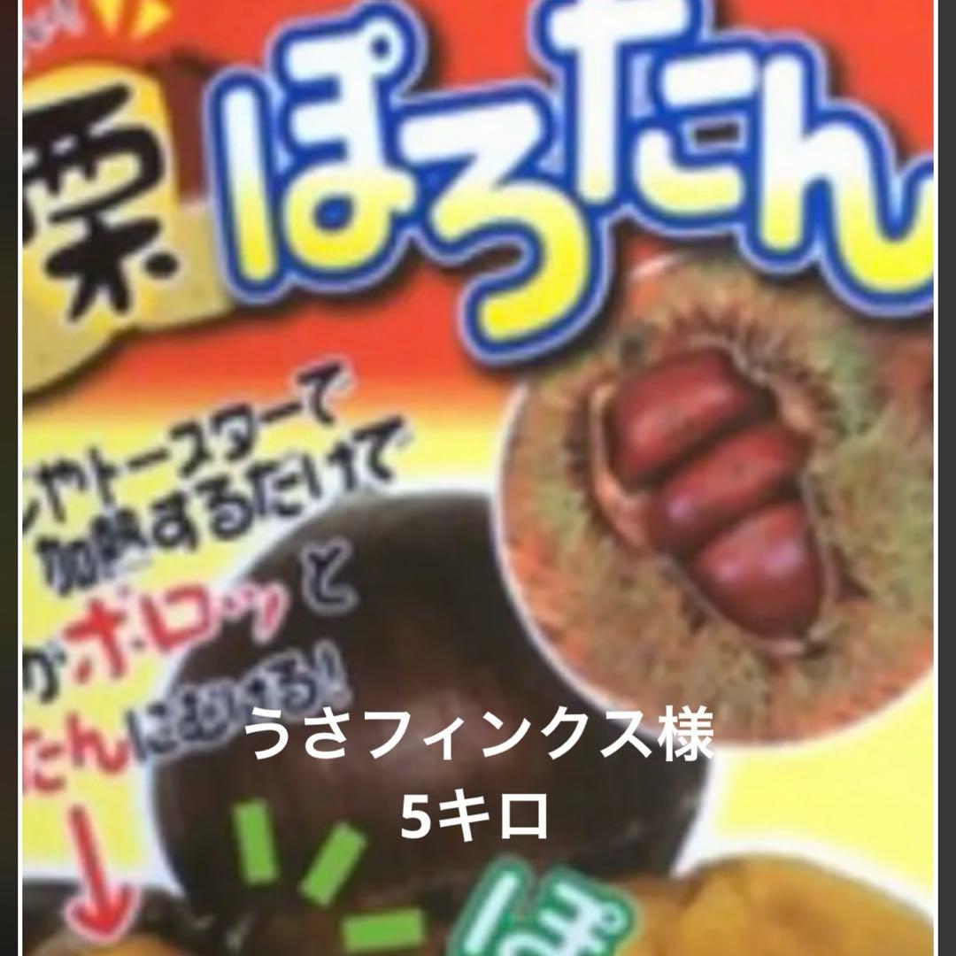 うさフィンクス様　ポロたん　5キロ