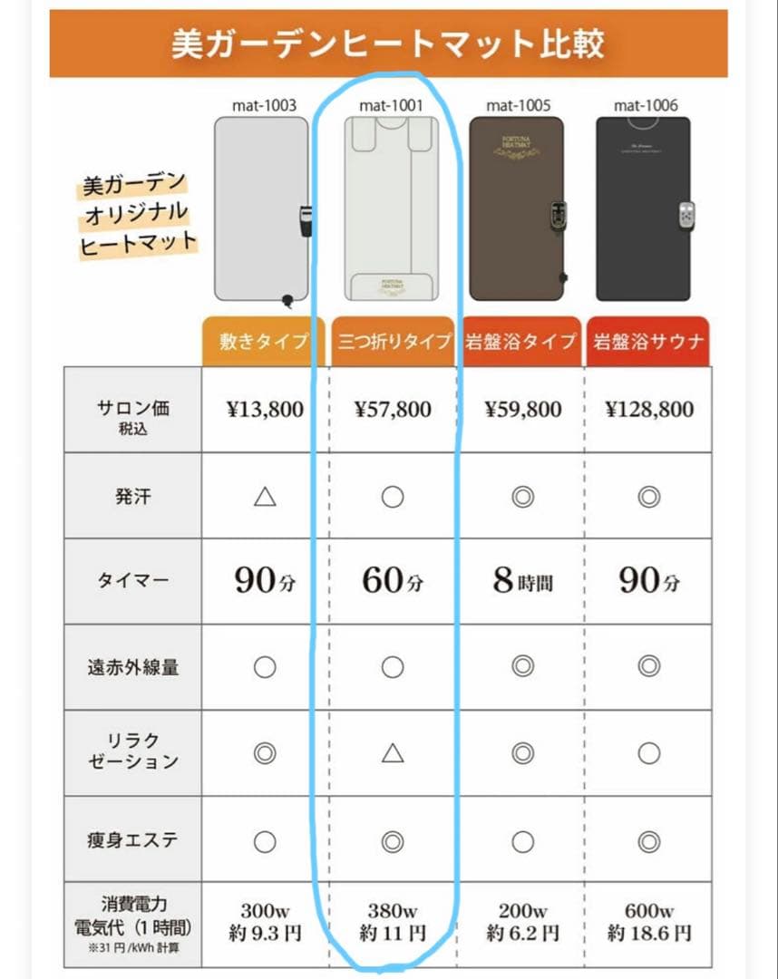 遠赤外線ヒートマット 三つ折りタイプ FORTUNA HEATMAT【美品】