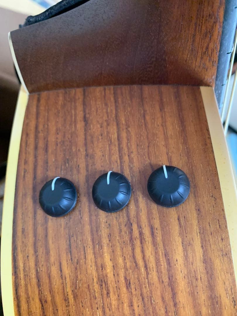 Taylor ギター エレアコ 210ce