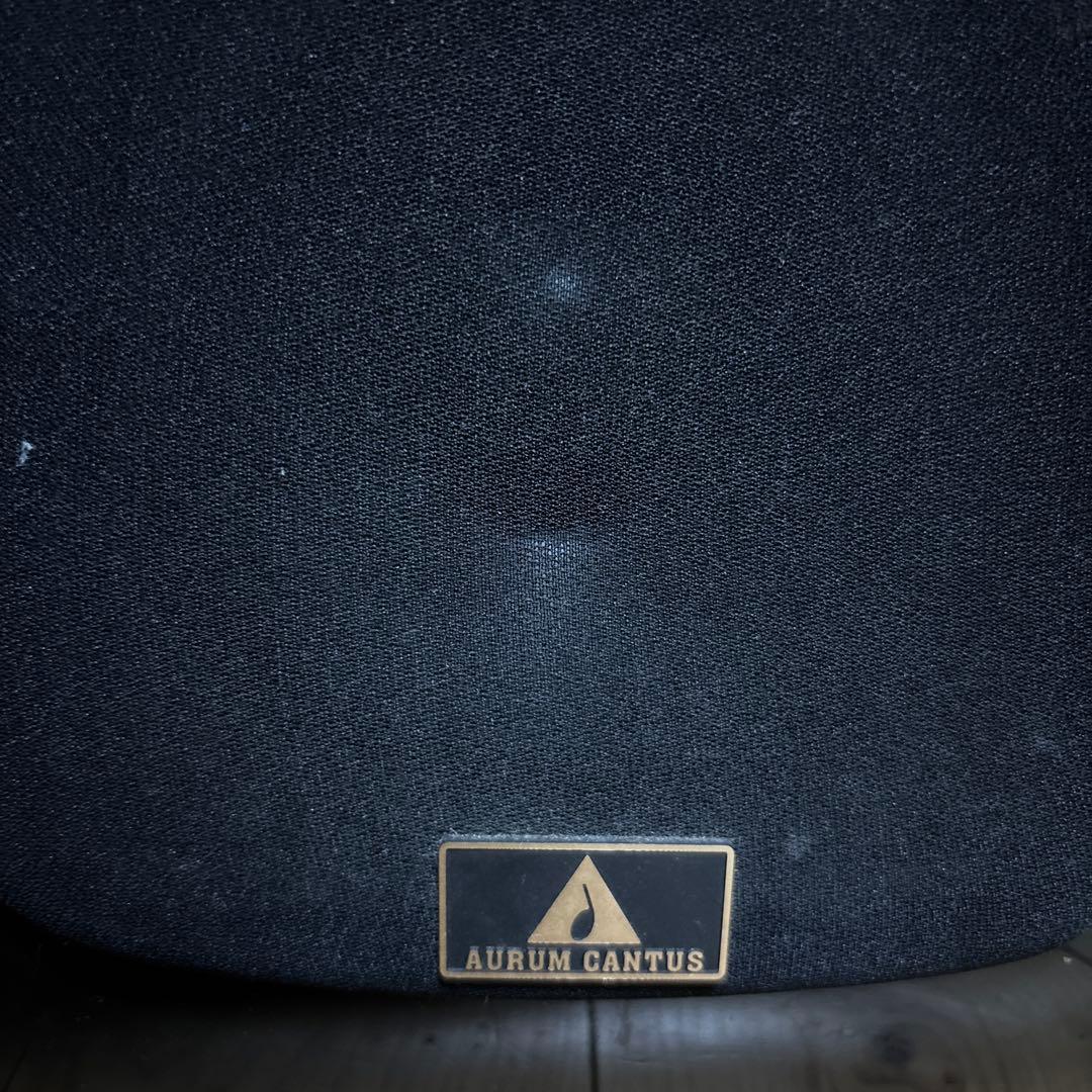 スピーカー・ウーファー AURUM CANTUS LEISURE2 se