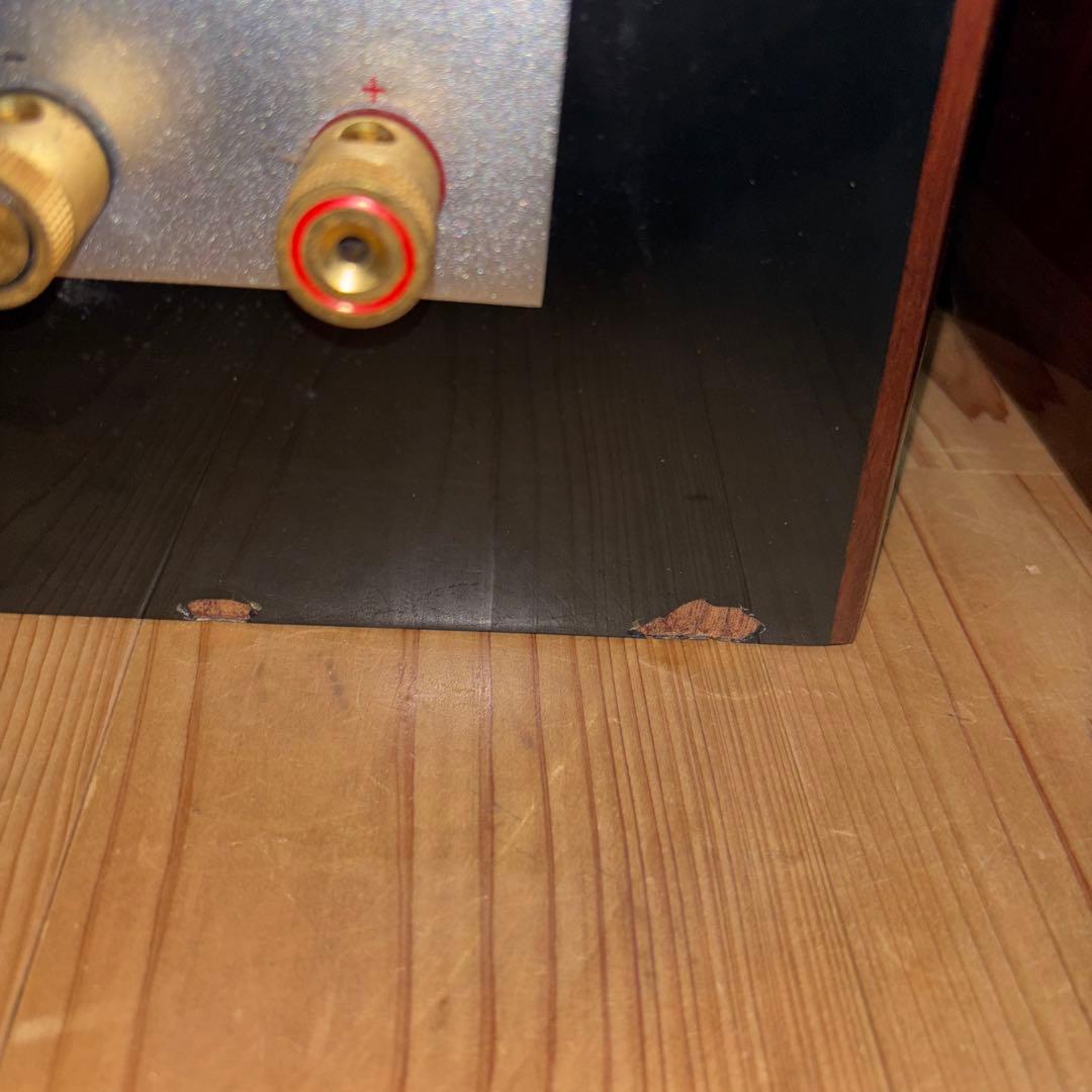 スピーカー・ウーファー AURUM CANTUS LEISURE2 se