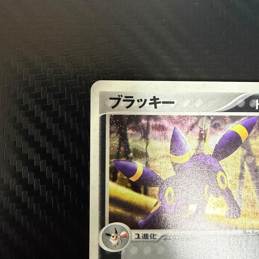 ブラッキー ★ 強化拡張パックex1 マグマVSアクア ふたつの野望