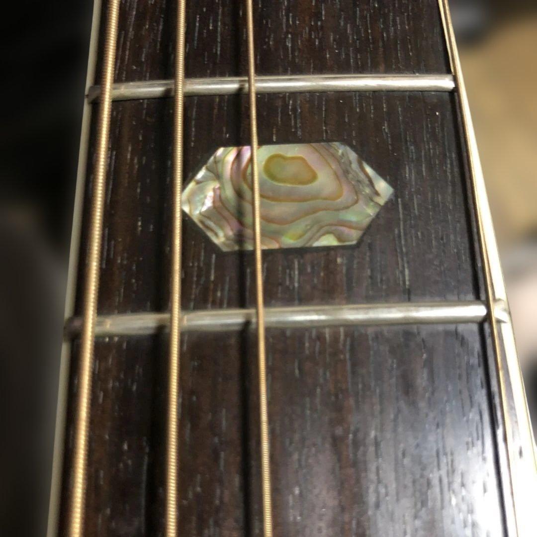 モーリス　morris TF W-50 78年製　スプルース単板　ハードケース付