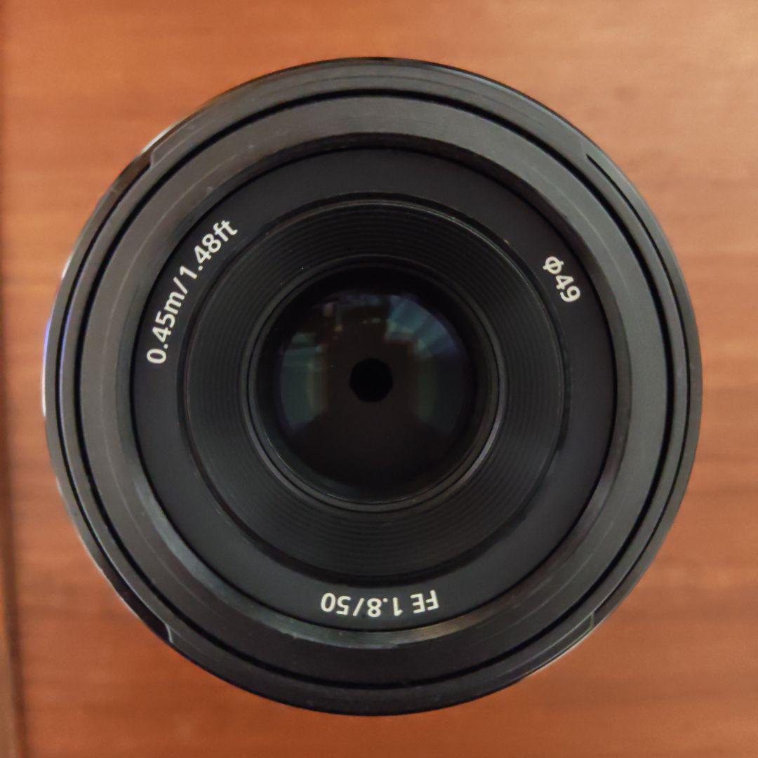 SONY FE 1.8/50 単焦点レンズ