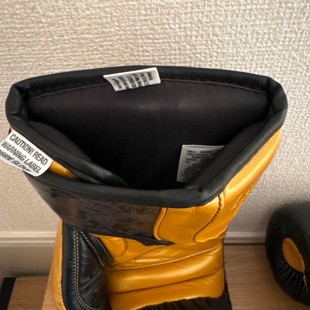 レイジェス(reyes) スパーリング・トレーニング用グローブ【14オンス】