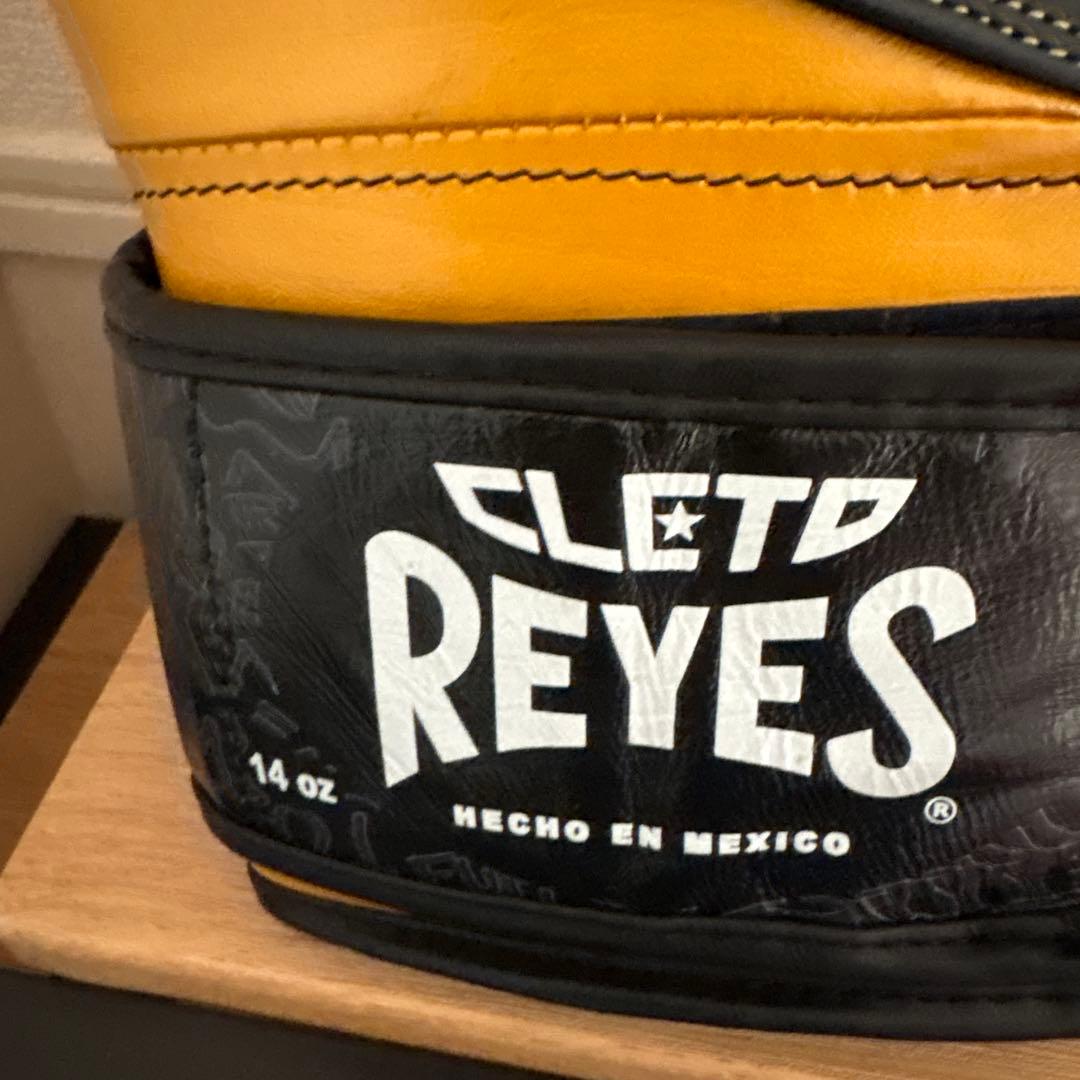 レイジェス(reyes) スパーリング・トレーニング用グローブ【14オンス】
