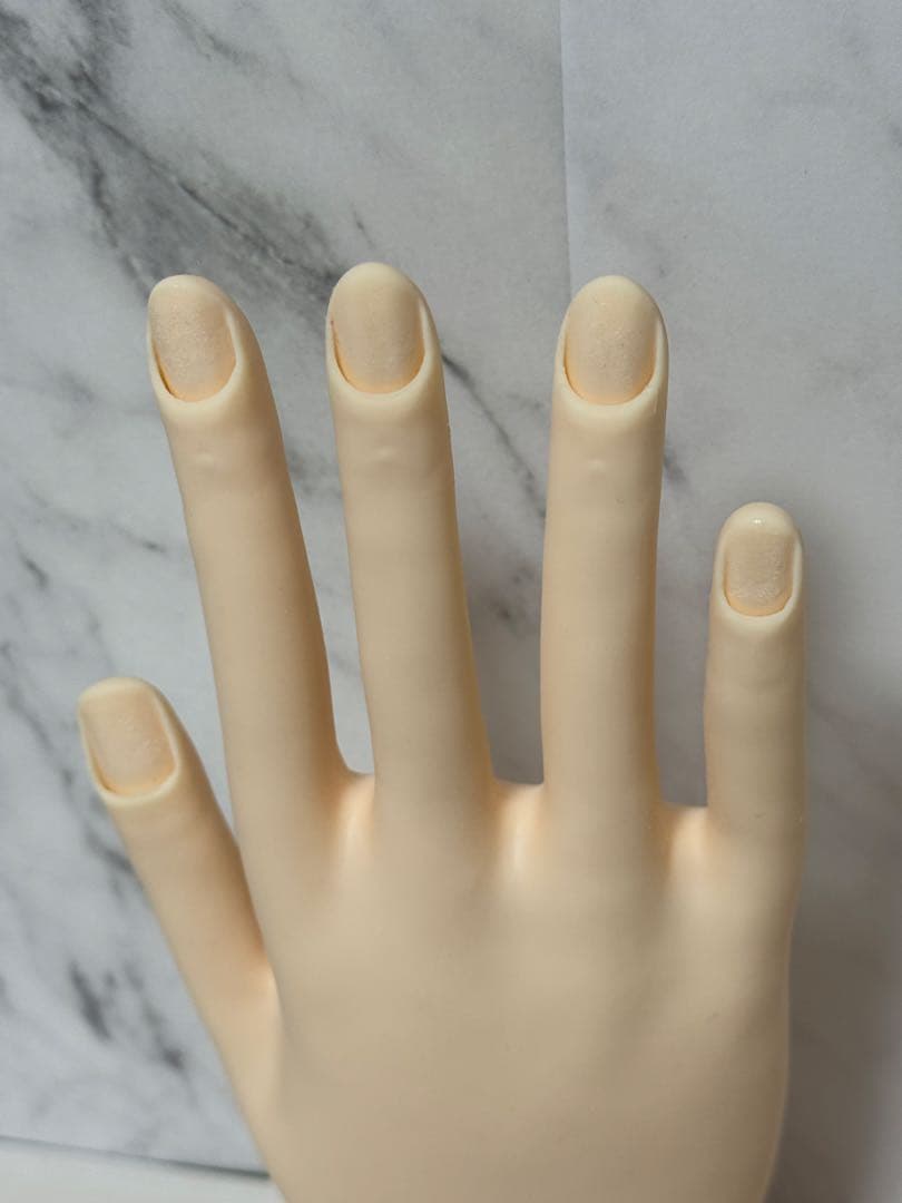 ネイリスト技能検定試験用 JNEC認定モデルハンド（骨折なし）