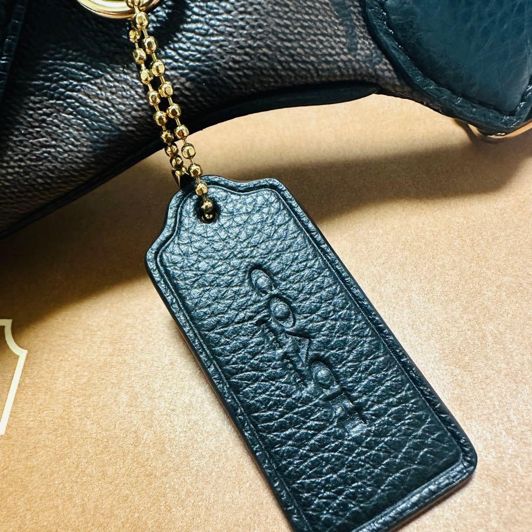 【美品】COACH ボディバッグ ウエストバッグ シグネチャー 6548