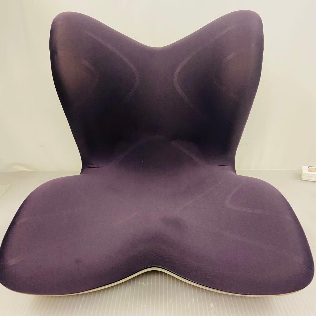 1h31 Style PREMIUM スタイルプレミアム 骨盤矯正 ブラウン