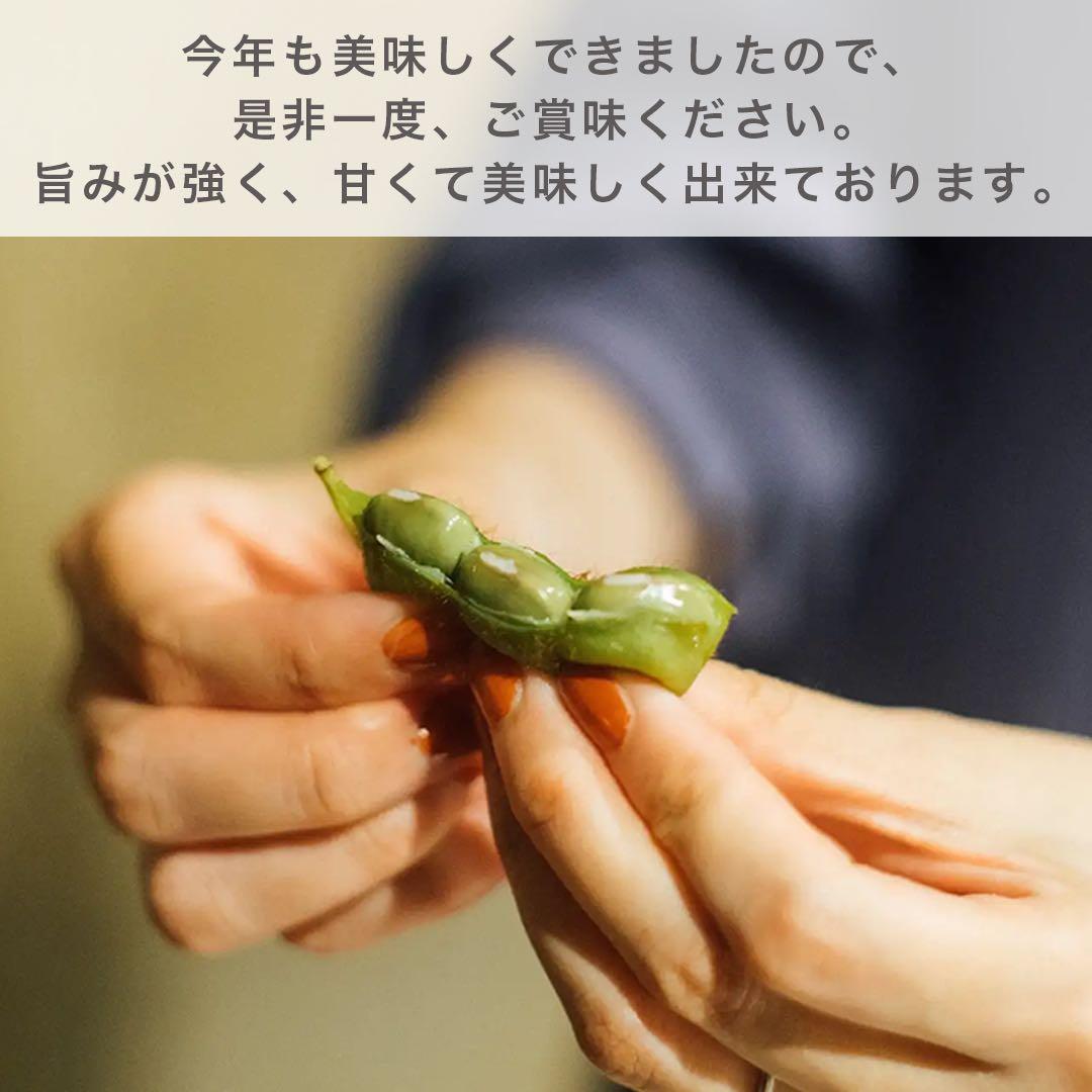 《採れたて》丹波篠山産　黒枝豆　7kg 減農薬栽培 丹波黒枝豆