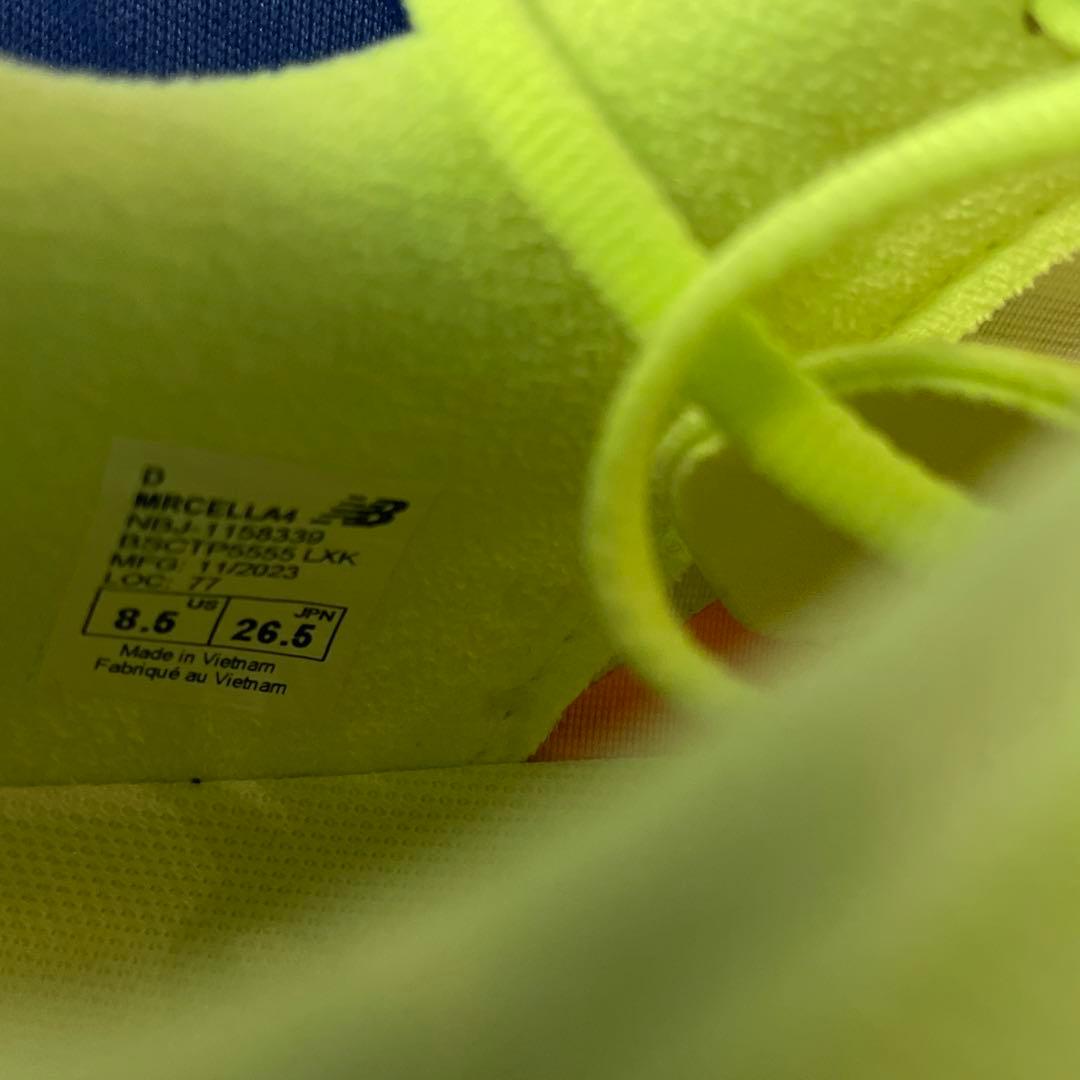 フューエルセルSCエリートV4