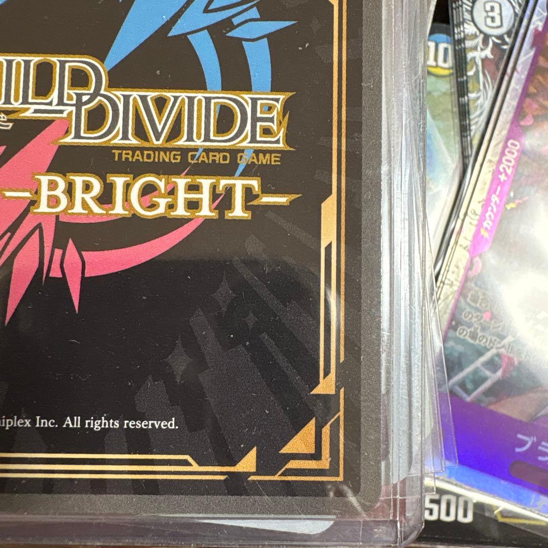 シュレディンガーの兎　桜島麻衣　ビルディバイド