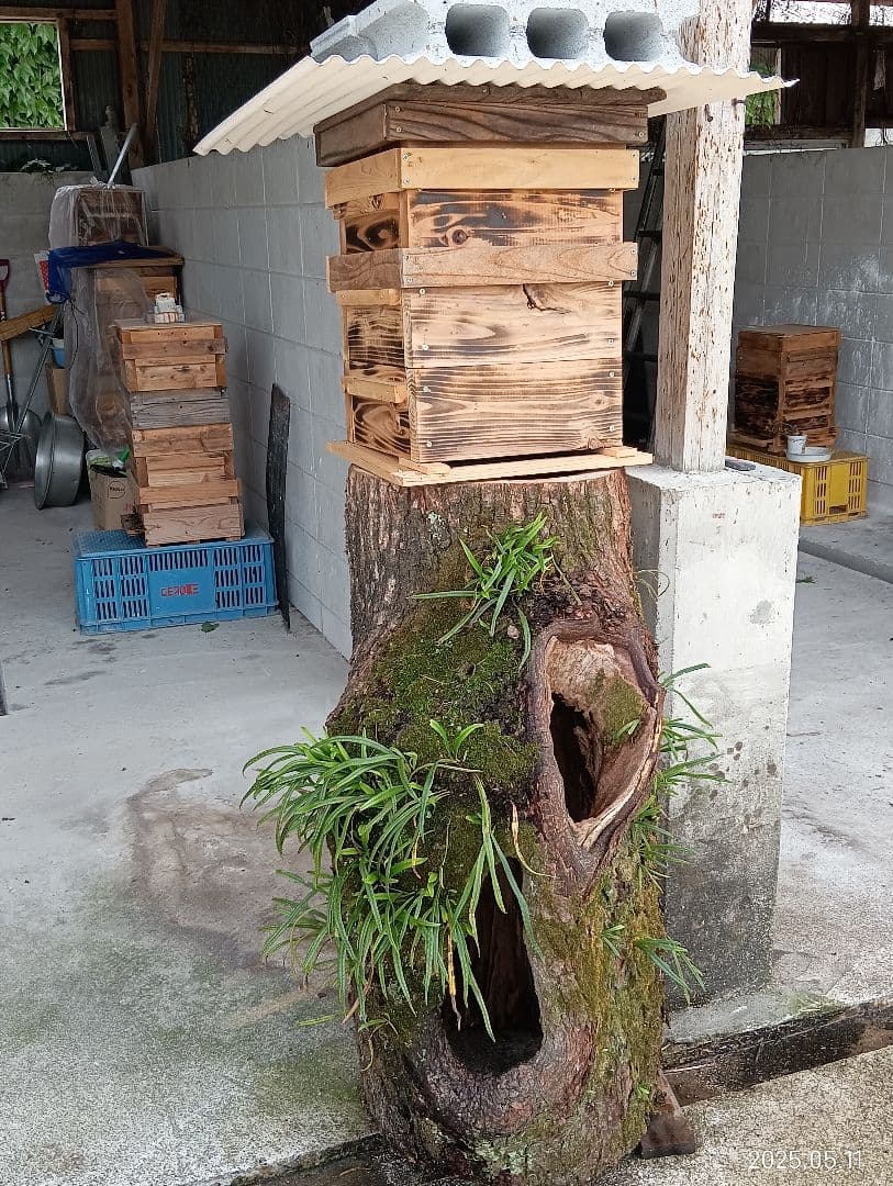 ぽこです。　　ニホンミツバチの百花蜜　国産天然ハチミツ　580グラム　2本