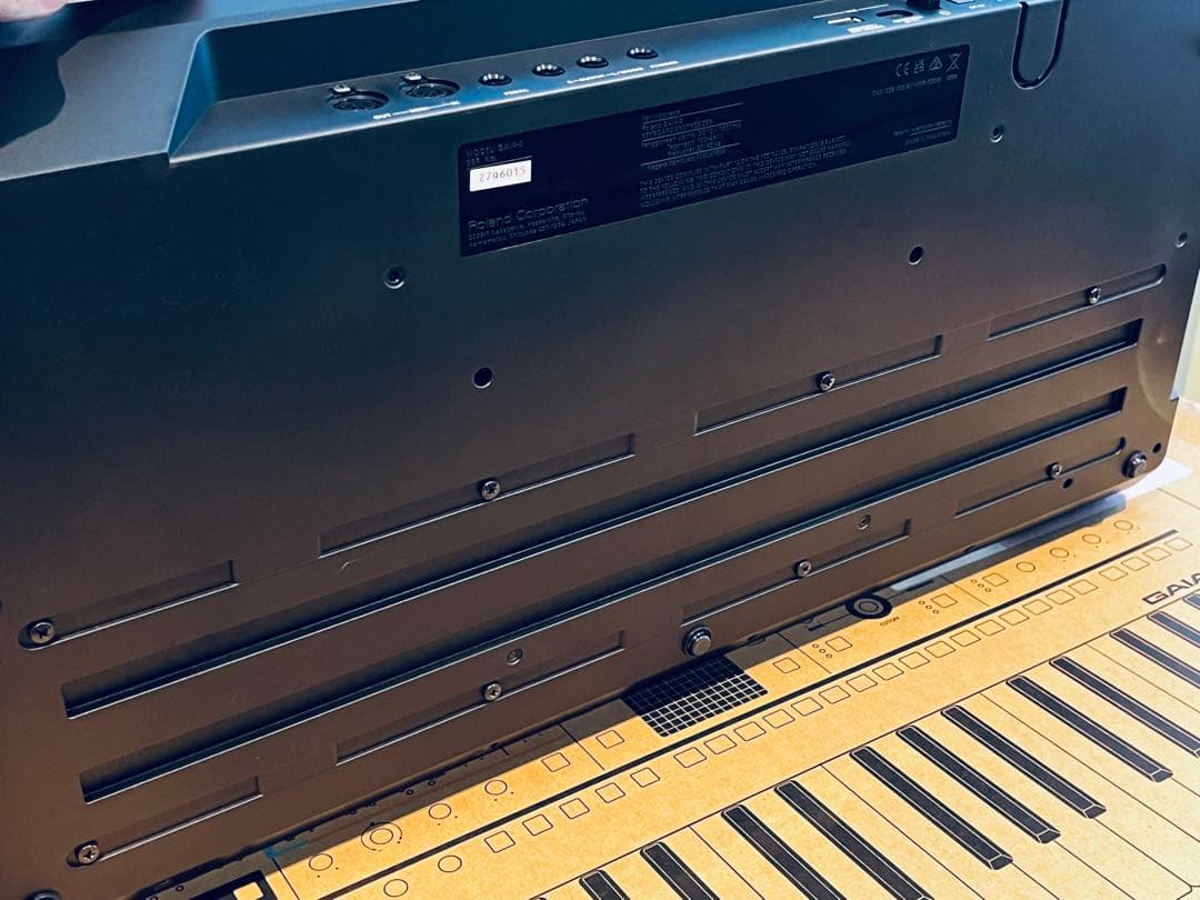 Roland GAIA2 シンセサイザー 37鍵 ほぼ未使用+TSケーブル2本