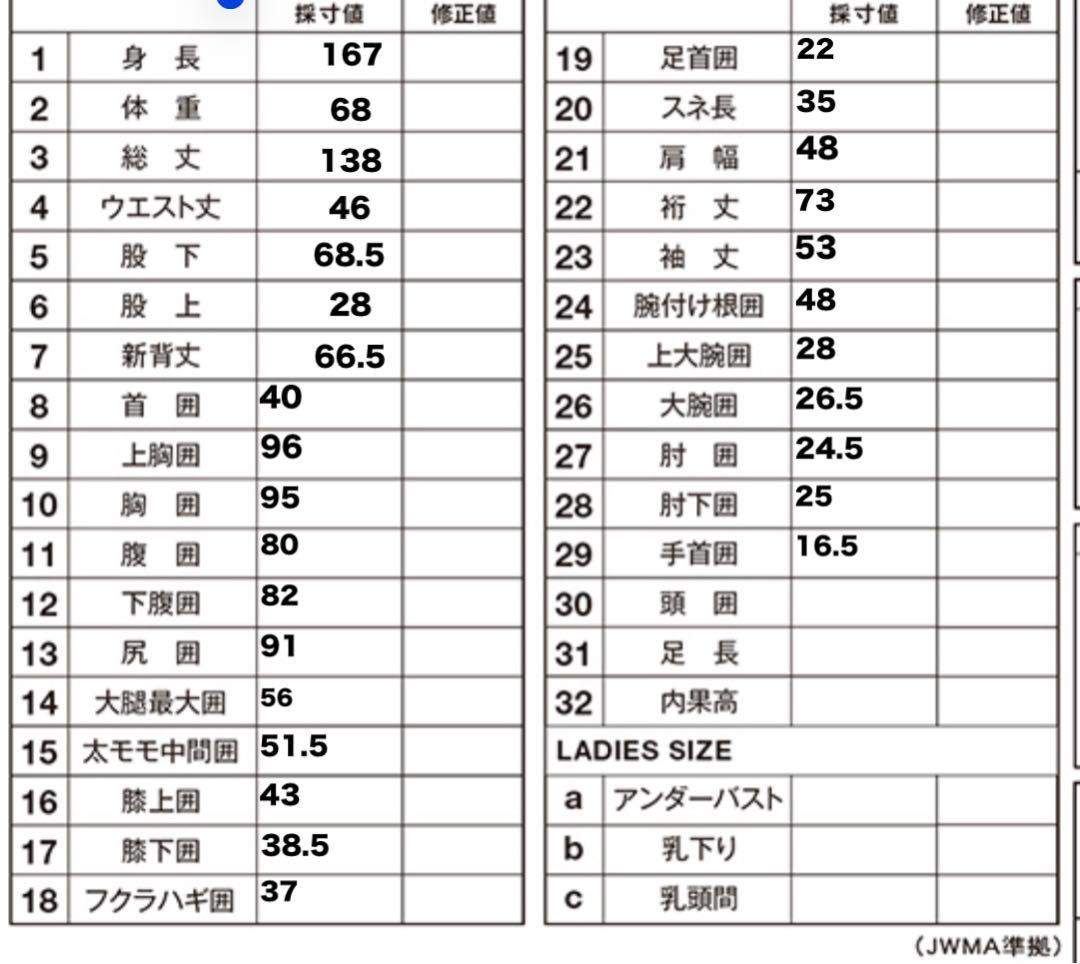 セミドライ　Lサイズグローブおまけ付　フロントロングジップダブルフラップ　MLB