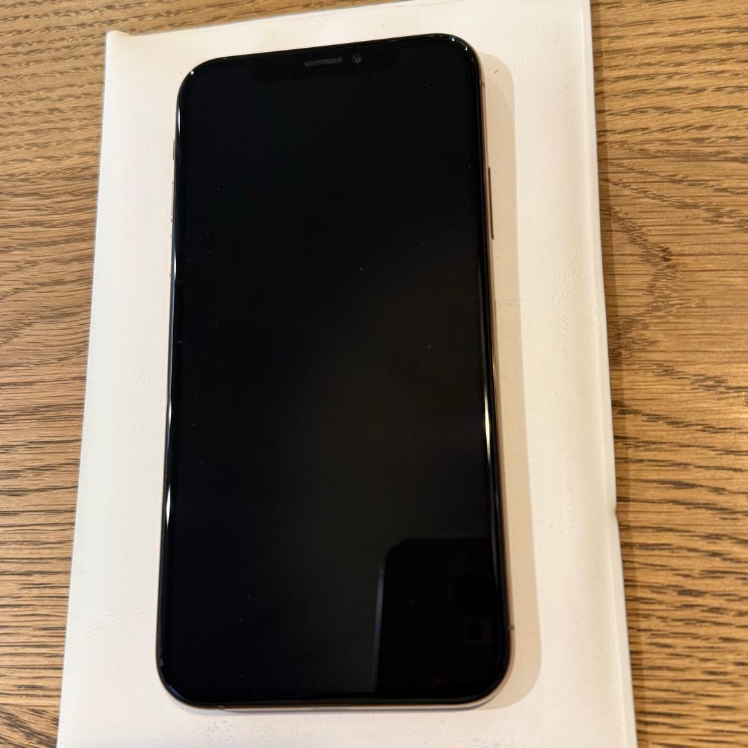 Apple iPhone XS ゴールド 本体 256GB ケース付き