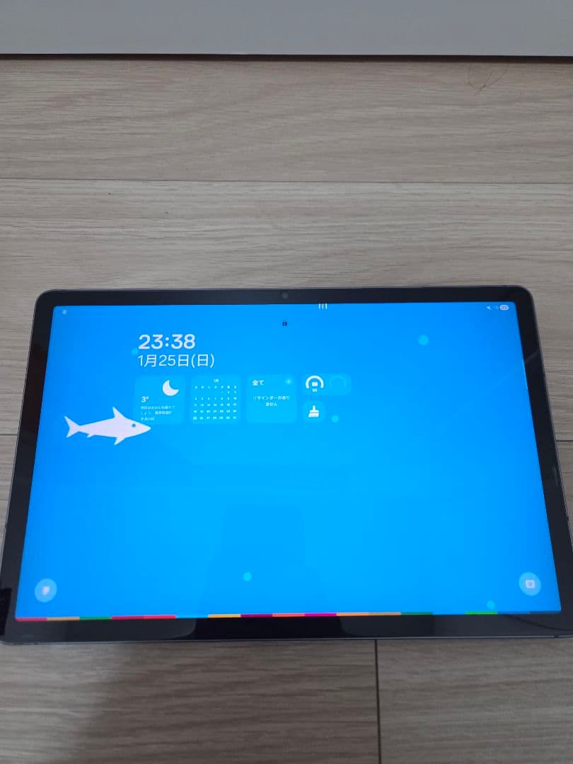 Samsung Galaxy Tab S9 FE Sペン付
