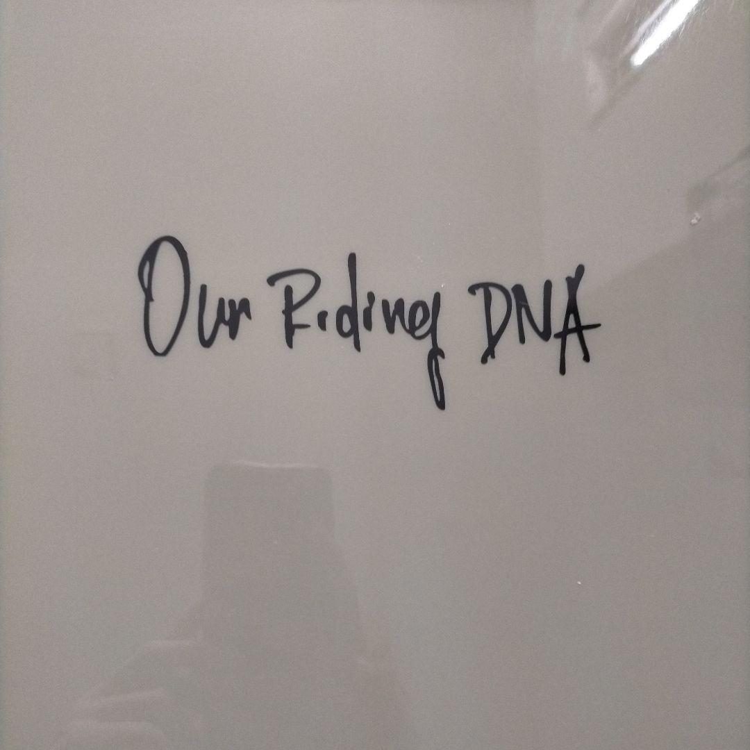 SANDICATE happy tree サーフボード