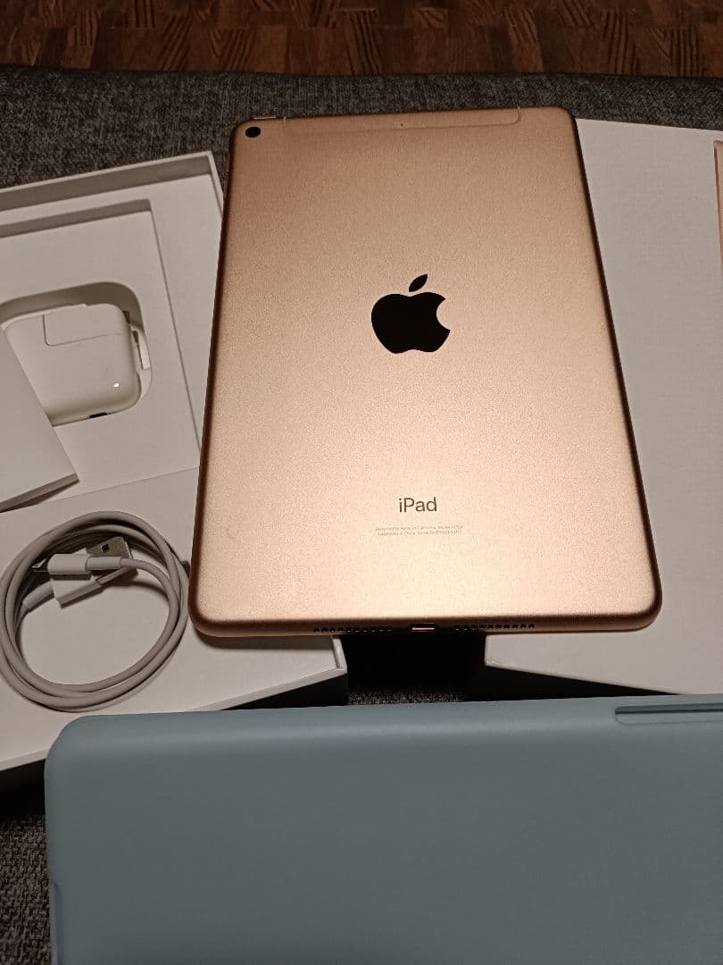 【極美Sランク】Apple iPad mini 第5世代 ゴールド256GB＋α