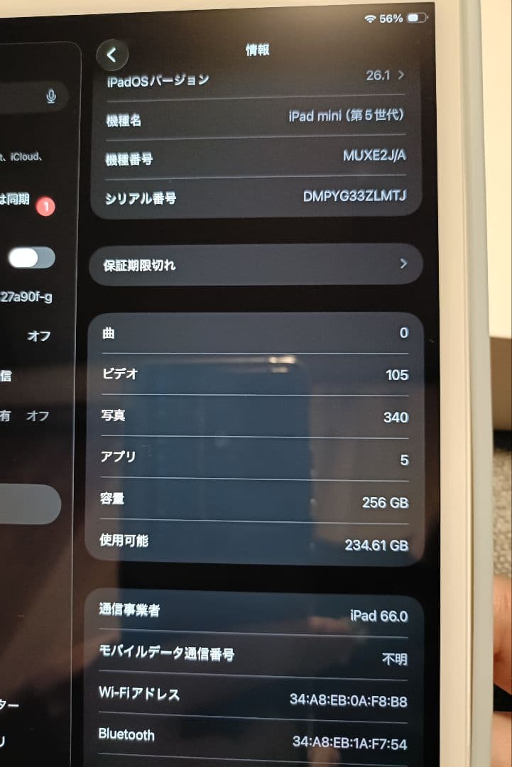 【極美Sランク】Apple iPad mini 第5世代 ゴールド256GB＋α