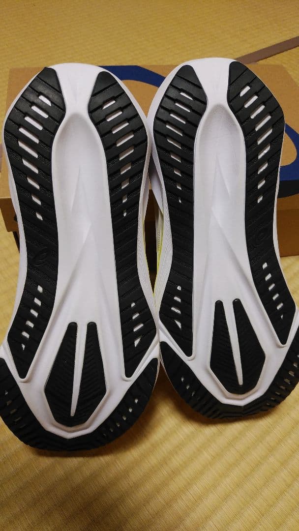 ASICS　ノヴァブラスト５　 27.5㎝　新品、未使用