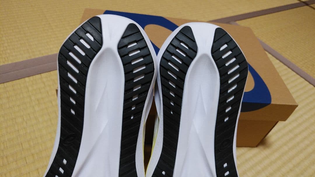 ASICS　ノヴァブラスト５　 27.5㎝　新品、未使用