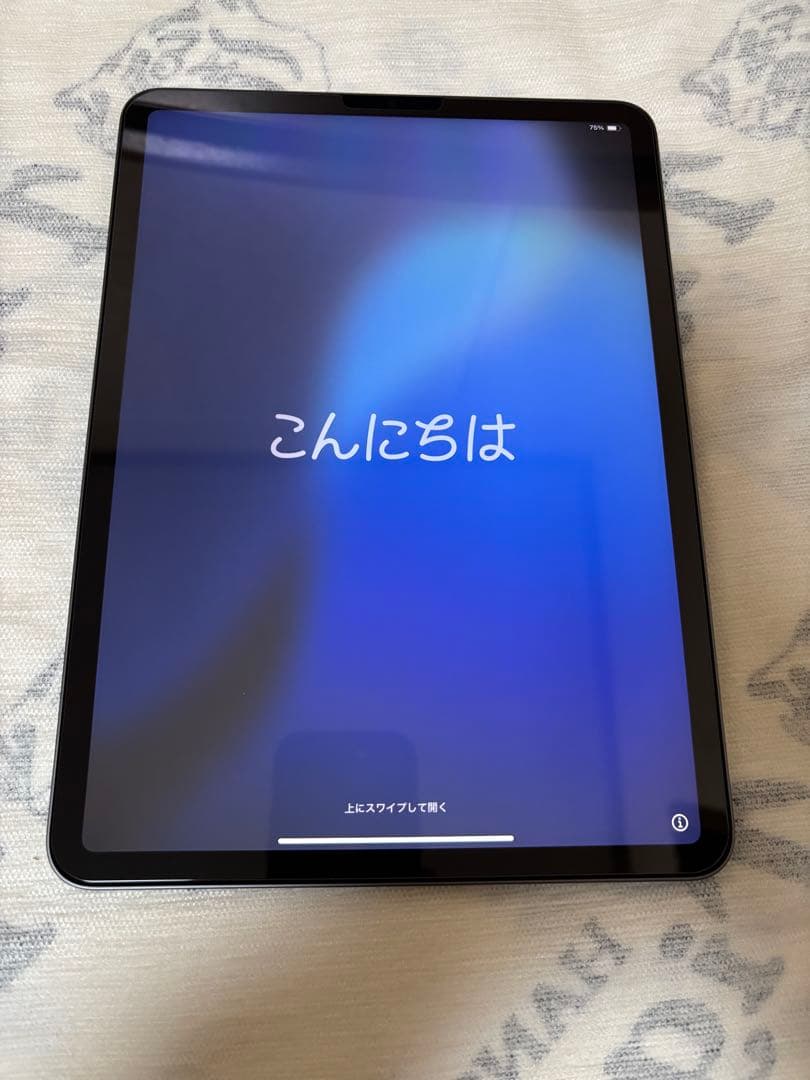 ipad pro 第3世代 11インチ 128GB 美品