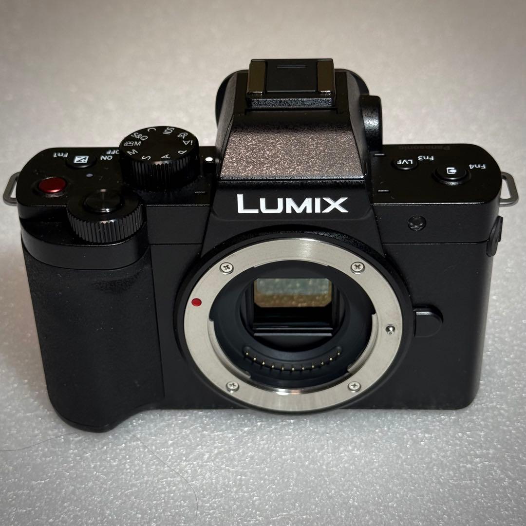 Panasonic LUMIX G100D ボディ