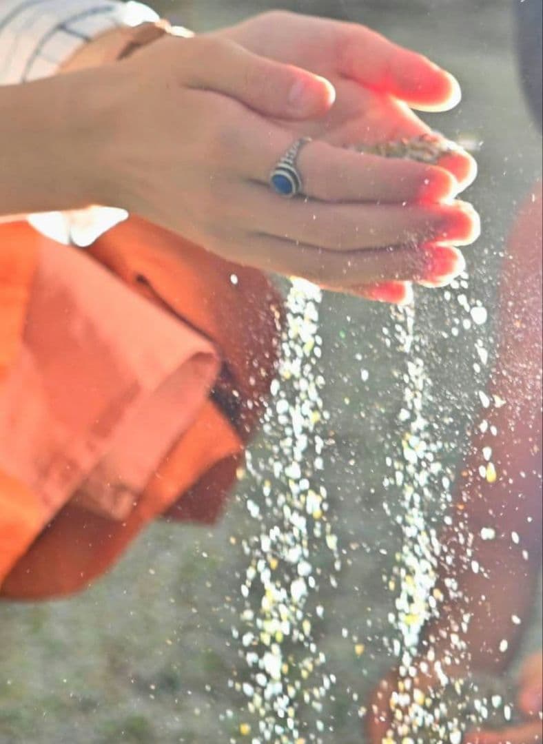 PENTAX K100D 1本で広角から望遠レンズ　ペンタックス　一眼レフ