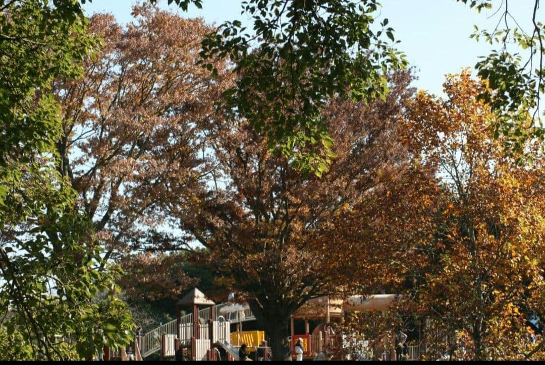 PENTAX K100D 1本で広角から望遠レンズ　ペンタックス　一眼レフ