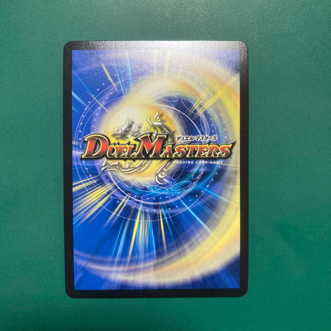 ナチュラルチイズ様取り置き　ドギラゴン王道シク1枚