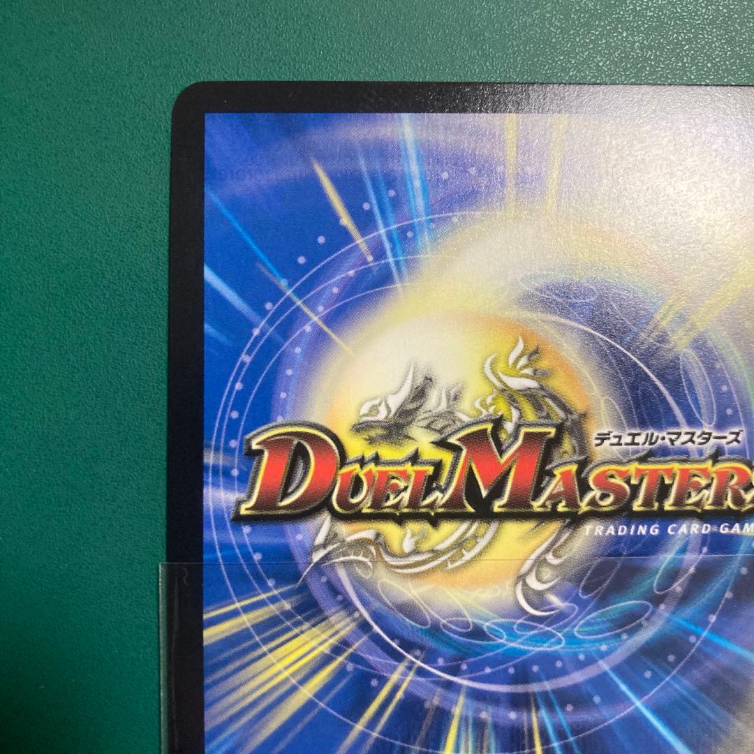 ナチュラルチイズ様取り置き　ドギラゴン王道シク1枚