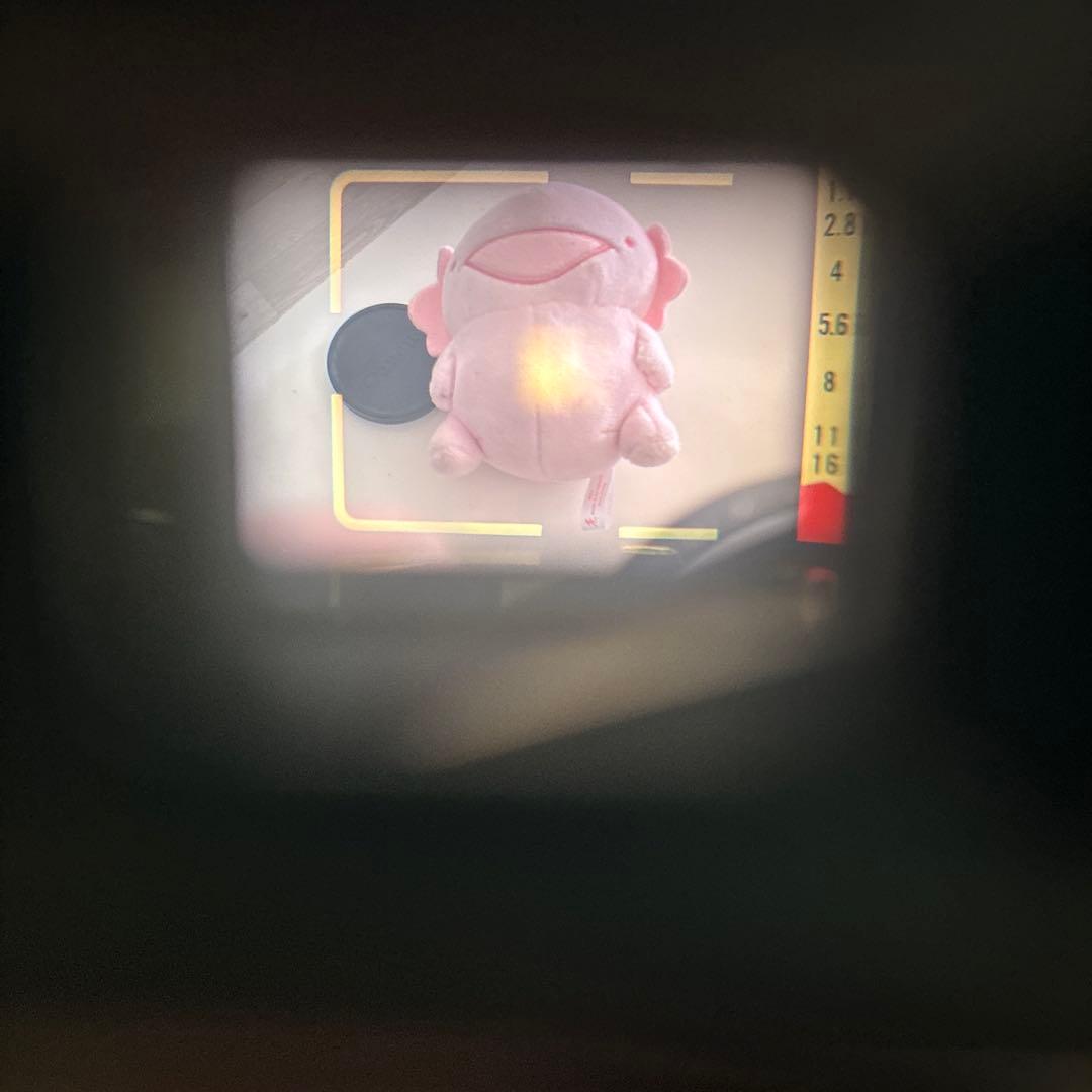 Canon G-III QL フィルムカメラ