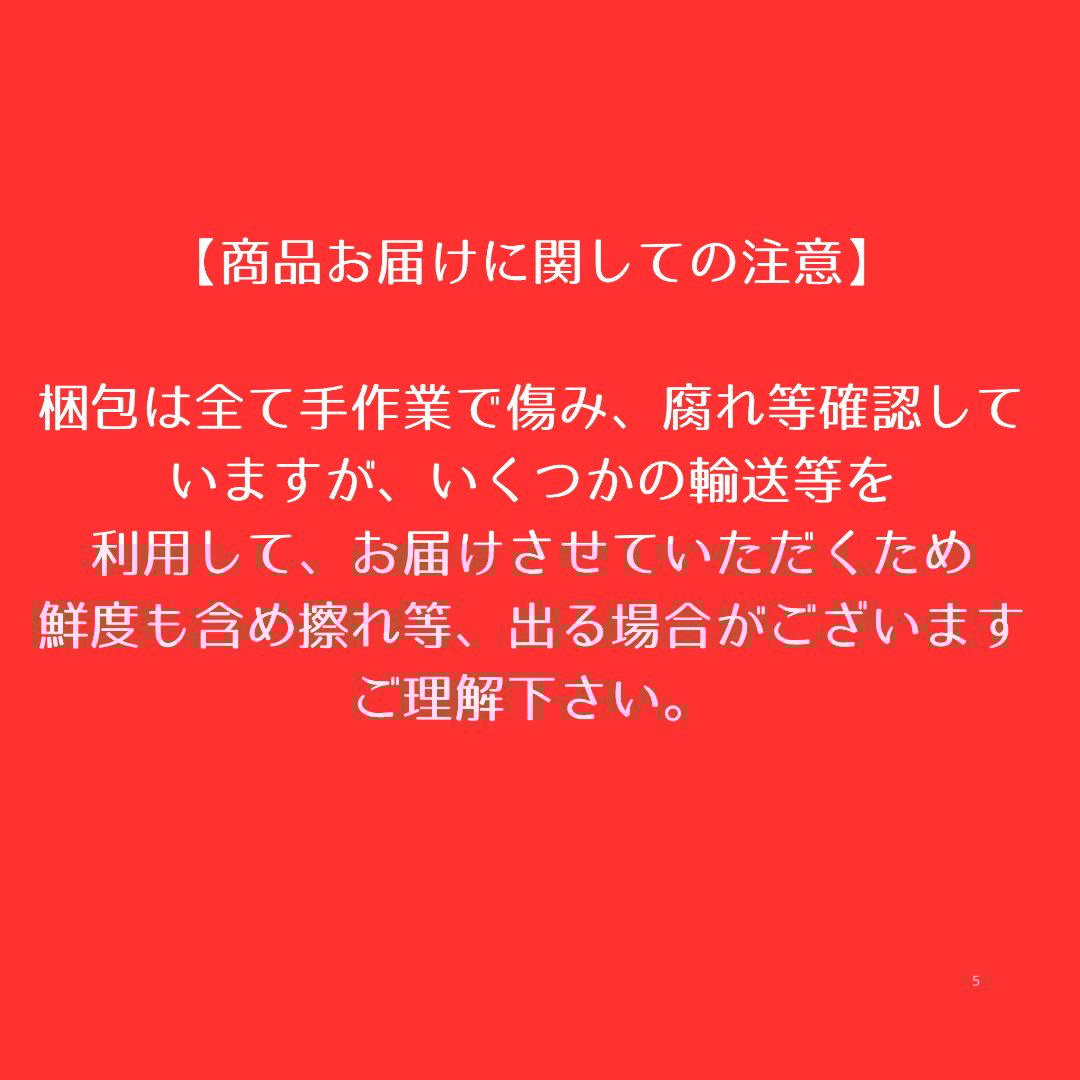 安納芋(紅) Mサイズ 25キロ　種子島産 ◆大地と太陽と潮風に育まれた安納芋◆