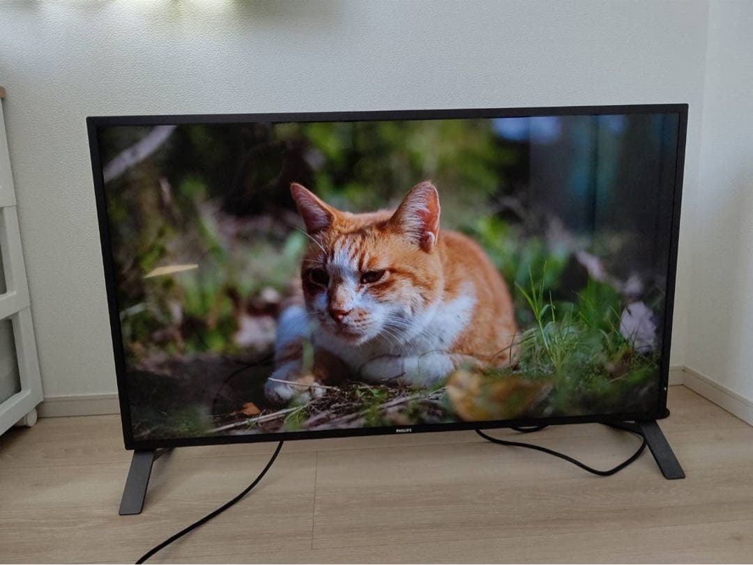 HUE様　PHILIPS 42.51型4KウルトラHD液晶ディスプレイ