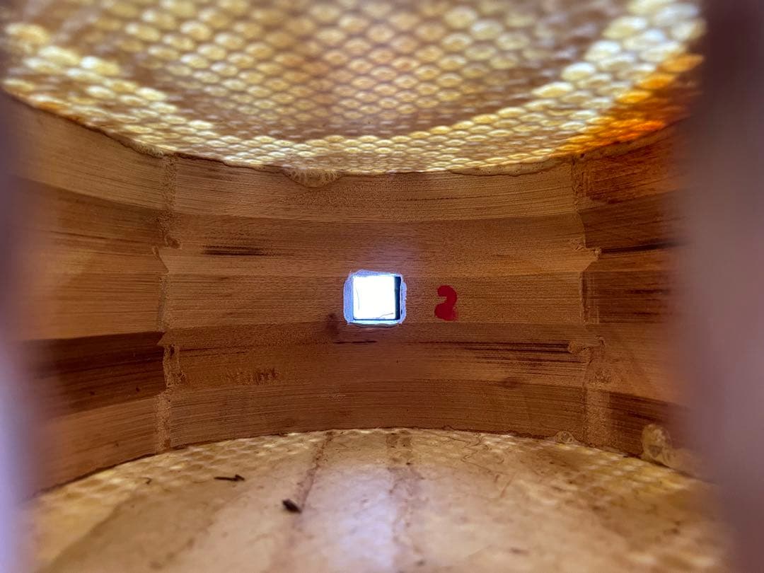 沖縄三線 宮古木工芸 本皮1枚張り 上等黒檀