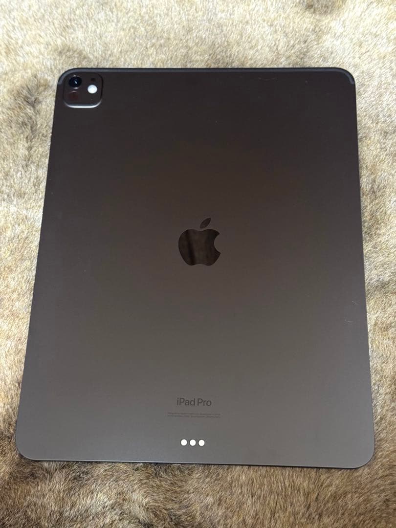 極美品　Apple iPad pro 13インチ512gb pencil pro