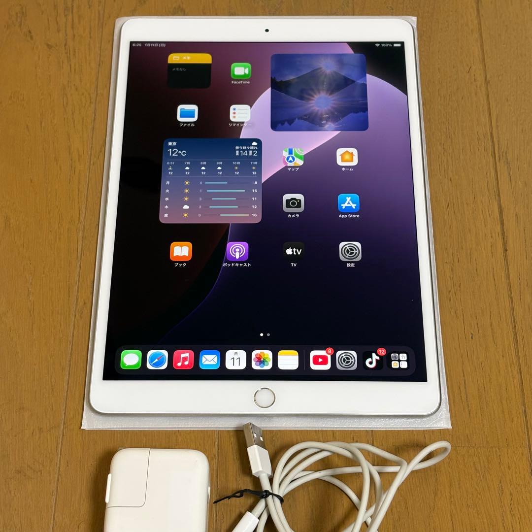 Apple iPad Air 第三世代シルバー バッテリー100%