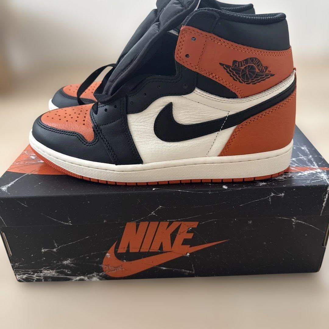 Air Jordan 1 Shattered Backboard シャタバ